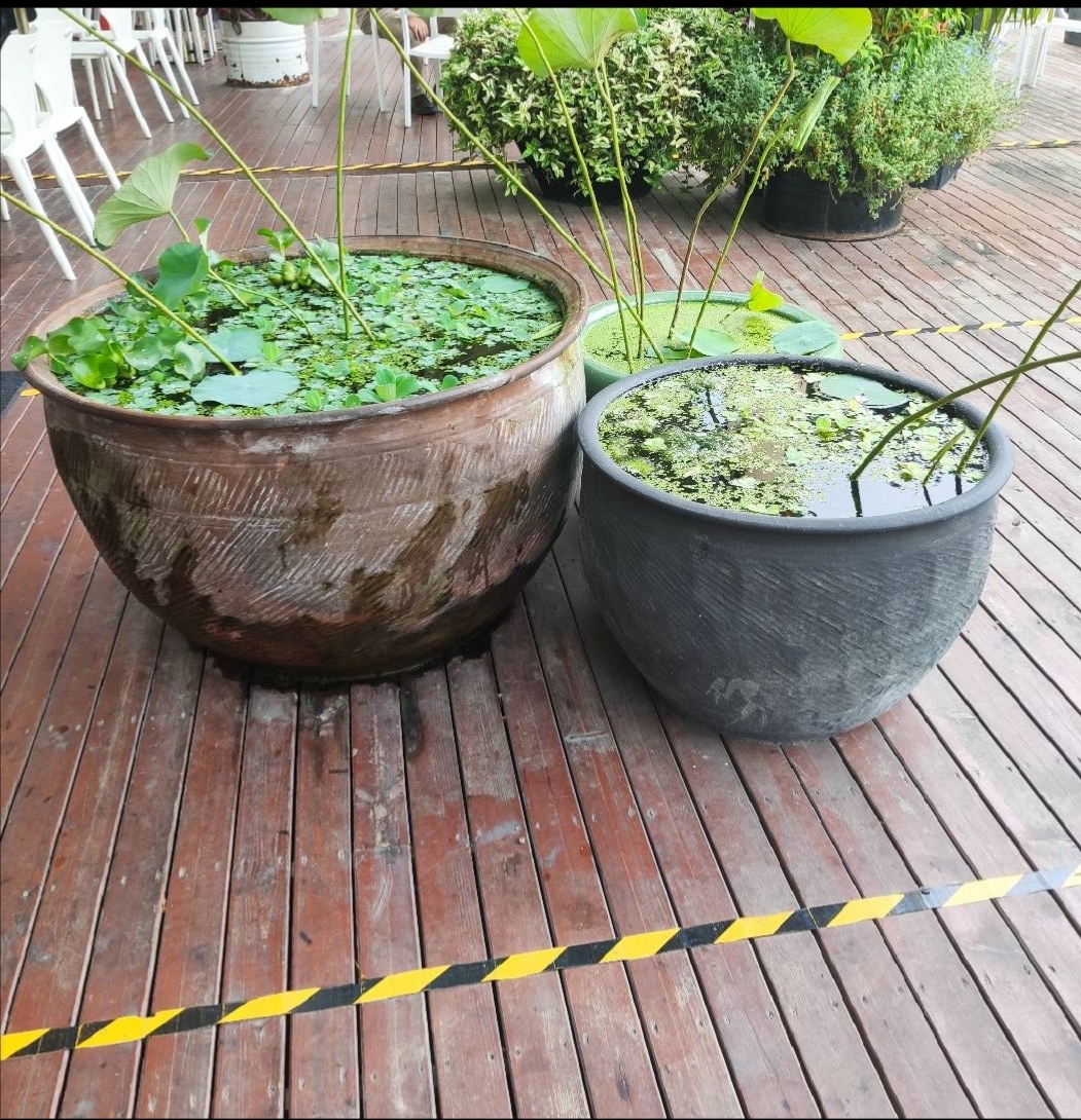 包邮黑土陶无釉鱼缸缸盆睡莲客厅大型水缸造景桌面缸