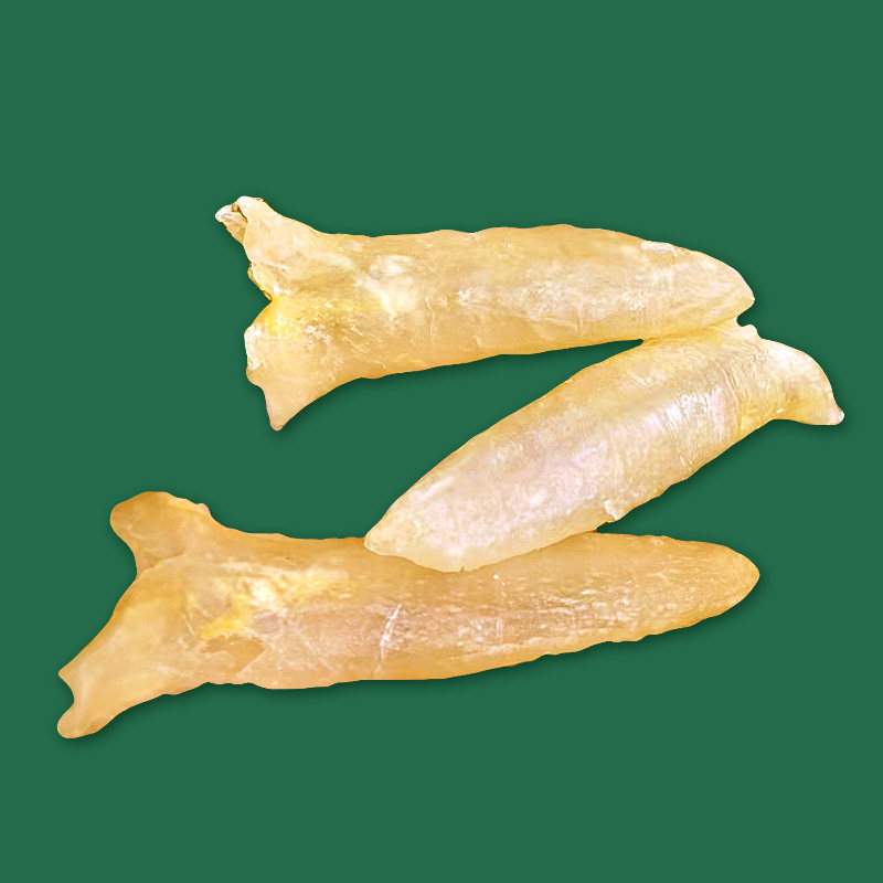 25头精美养生孕妇鱼鳔鱼胶漂亮足干做工巴沙花胶