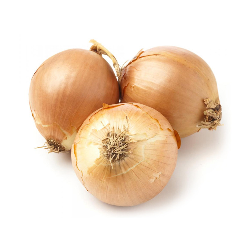 white 成都好特蔬白洋葱新鲜蔬菜西餐烧烤食材2斤装 包邮 onion顺丰