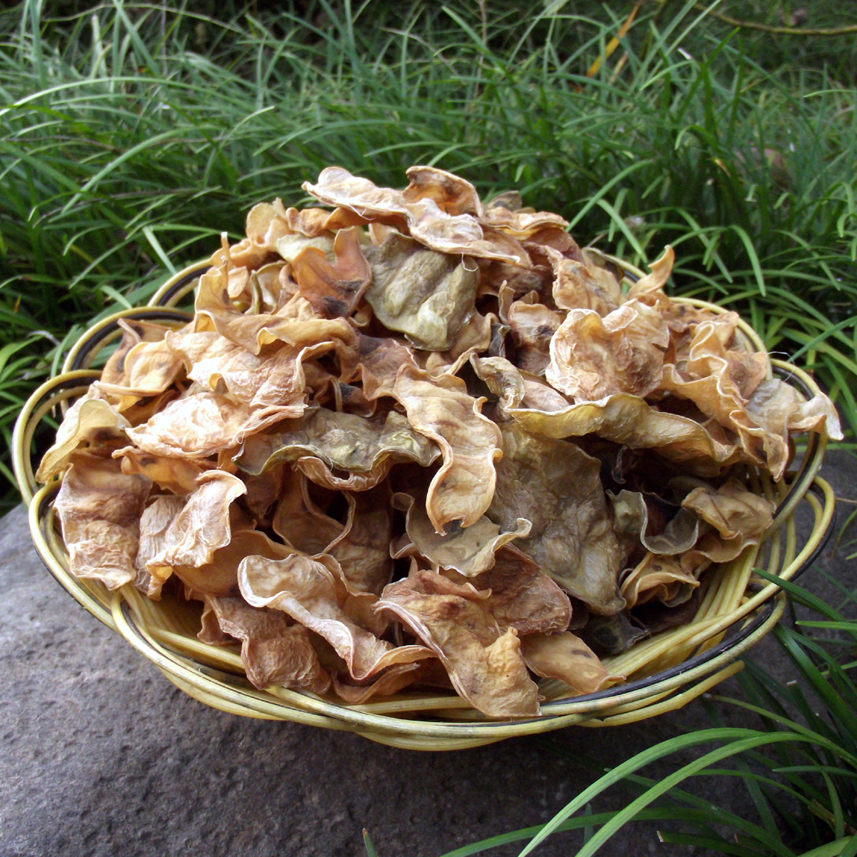 犹江湖畔 农家扁豆干自制干扁豆角江西特产赣南土特产干货菜450g