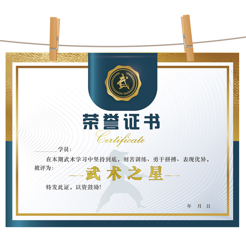 武术奖状优秀学员进步之星星功夫少年比赛跆拳道奖状