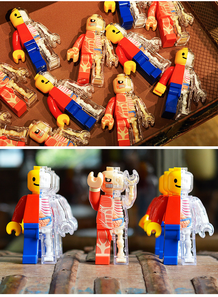 jasonfreeny积木人透视骨骼模型经典肌肉创意礼品其他模型玩具