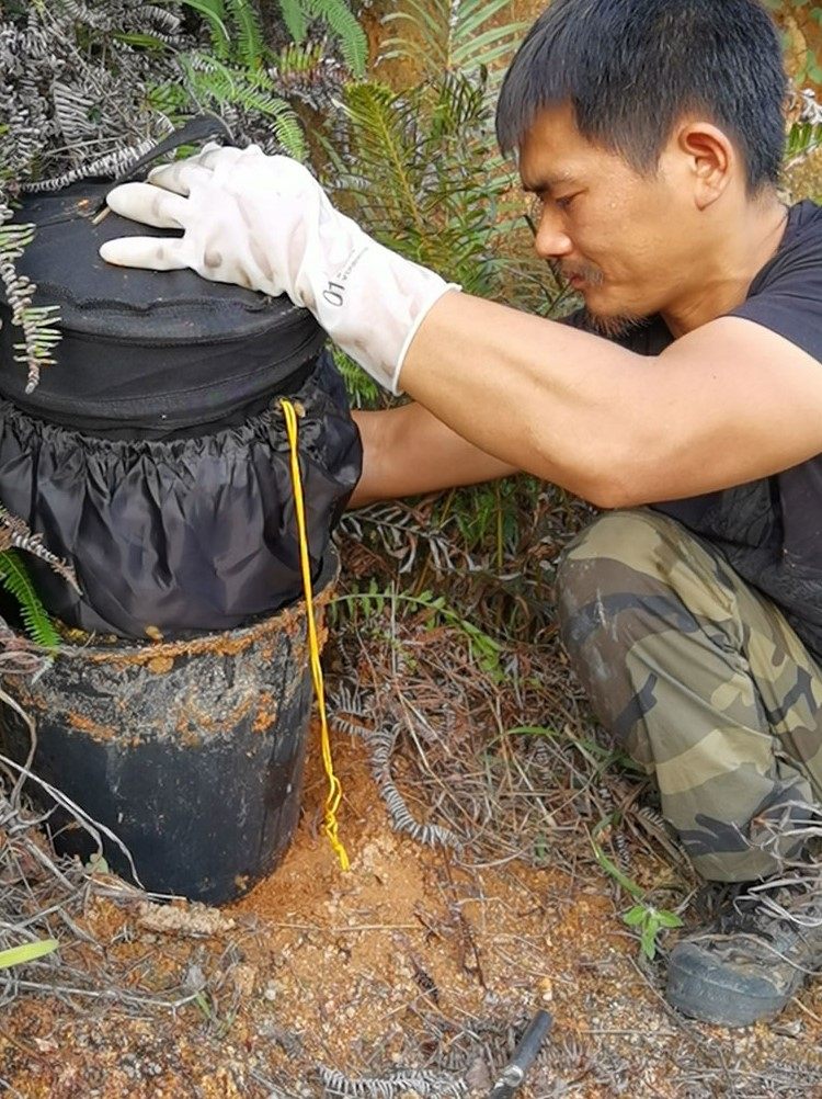收蜂袋收蜂笼诱招蜜蜂黑色布袋捕土蜂捉野外分蜂群折叠引蜂笼中蜂