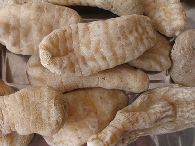 野生长白山林下味道头疼眩晕清洁工可打超微细粉天麻