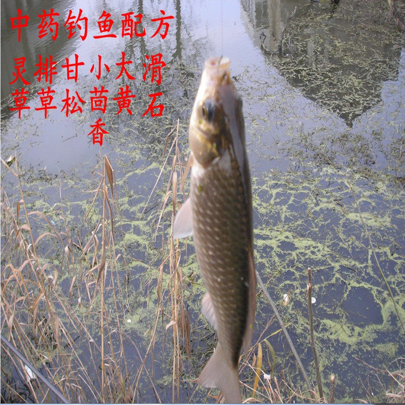 中药钓鱼配方鱼饵饵料诱饵灵草排草香松小茴台钓饵
