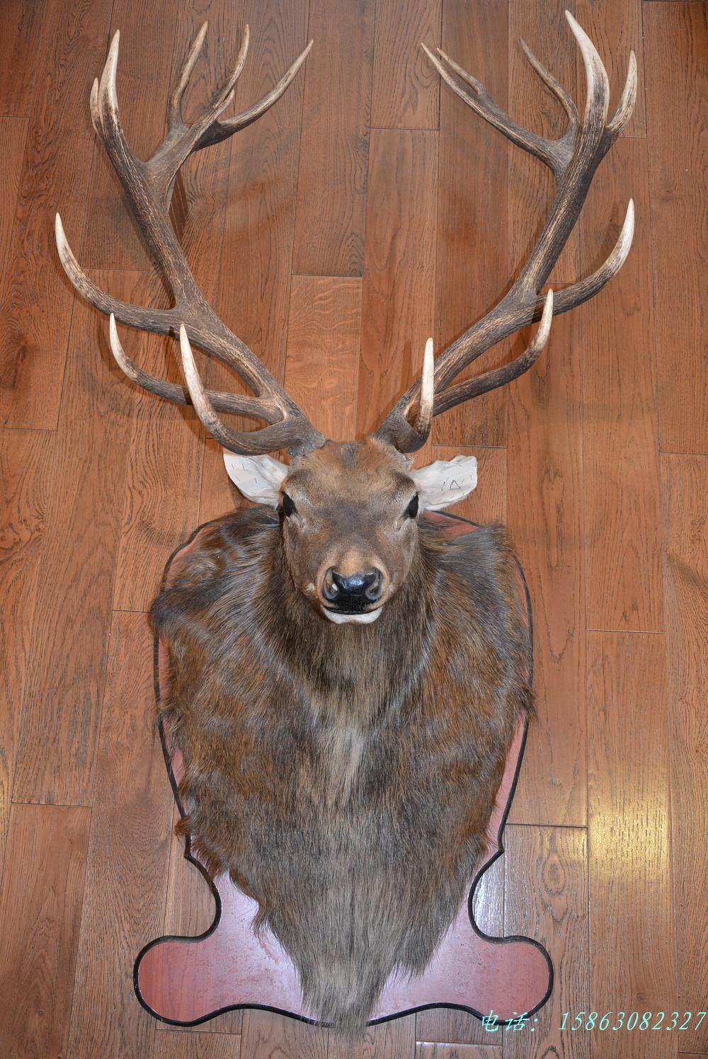 真角鹿头标本壁挂1a壁饰酒店会所挂件摆件壁饰
