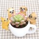 Zakka Creative Dog Small Animal Climbing Cylinder Gardening Supplies Flower Pots Home Decorations Resin Crafts Small Ornaments Zakka Creative Dog Small Animal Climbing Cylinder Gardening Supplies Flower Pots Home Decorations Resin Crafts Small Ornaments