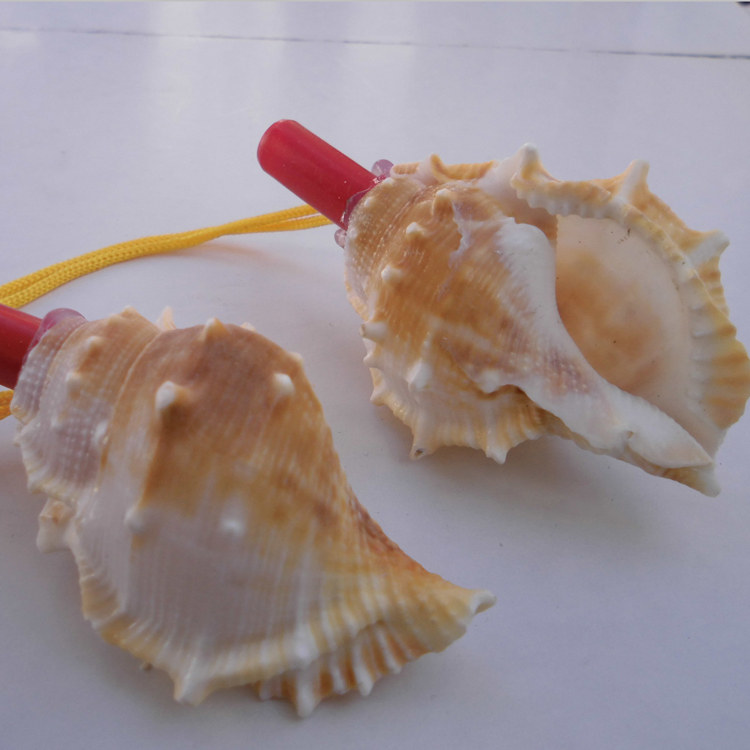 贝壳海螺口哨工艺饰品吹号小海螺小螺号19包邮哨子