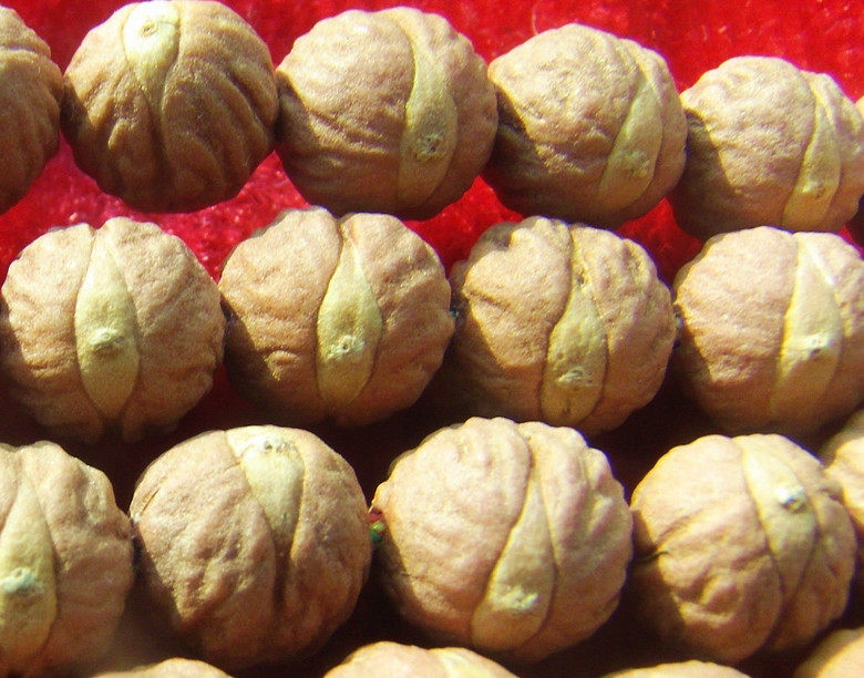 凤眼长安眼红皮壳酸枣核手串手链108颗佛珠