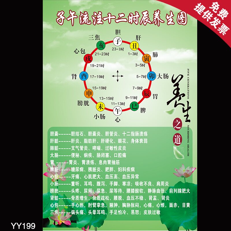 养生中医宣传挂图子午流注十二十二时时辰内脏写真