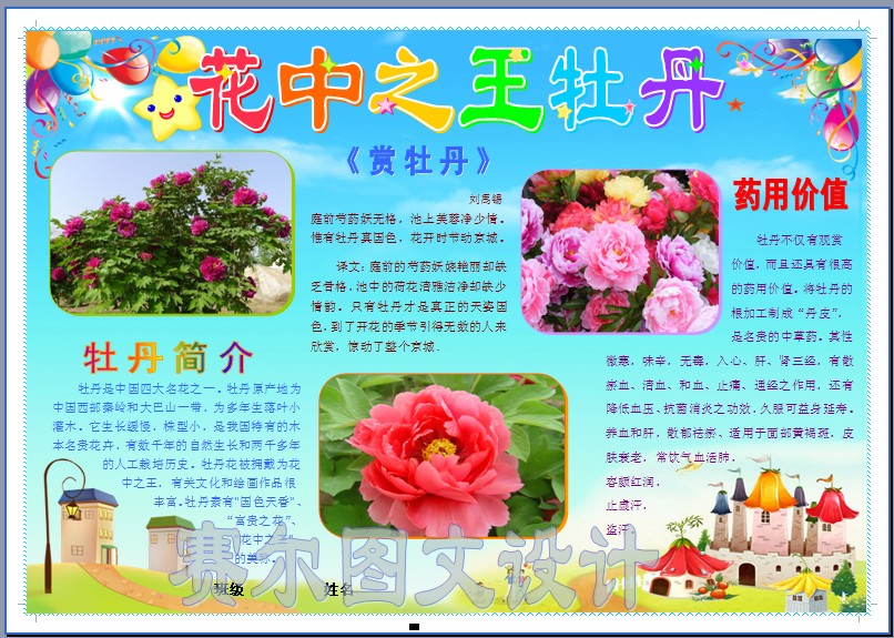 花中之王牡丹电子小报成品word可编编辑电脑设计素材