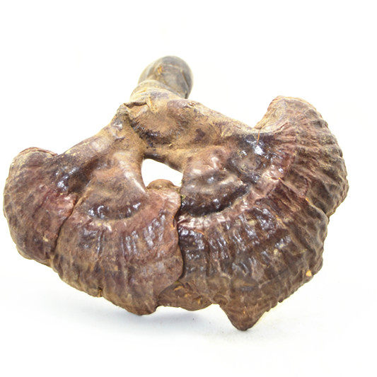 灵芝干货西藏白心整朵正品片磨250g190整枝灵芝