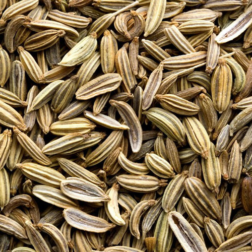 小茴香 小茴香籽 5斤包邮 茴香籽 中药材 调味料香料 500g克