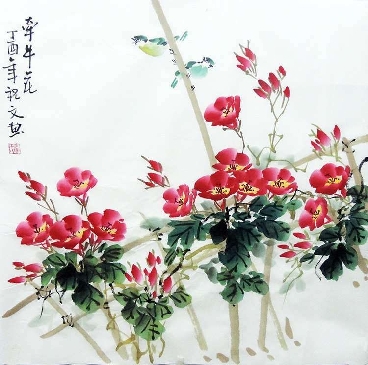 手绘真迹国画牵牛花三尺斗方小写写意水墨花鸟国画