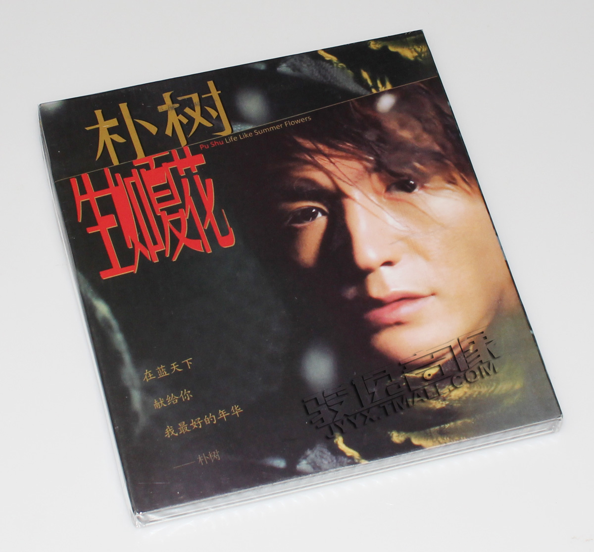 歌词本 生如夏花 正版 朴树专辑 2003年发行 唱片