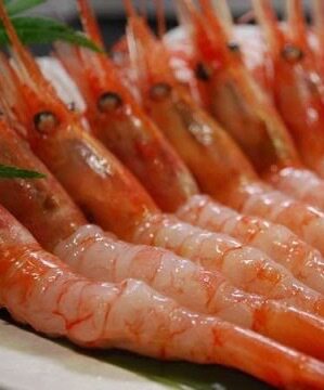 甜虾日本料理刺身生吃超低温真正北极鲜甜可口全国冻虾