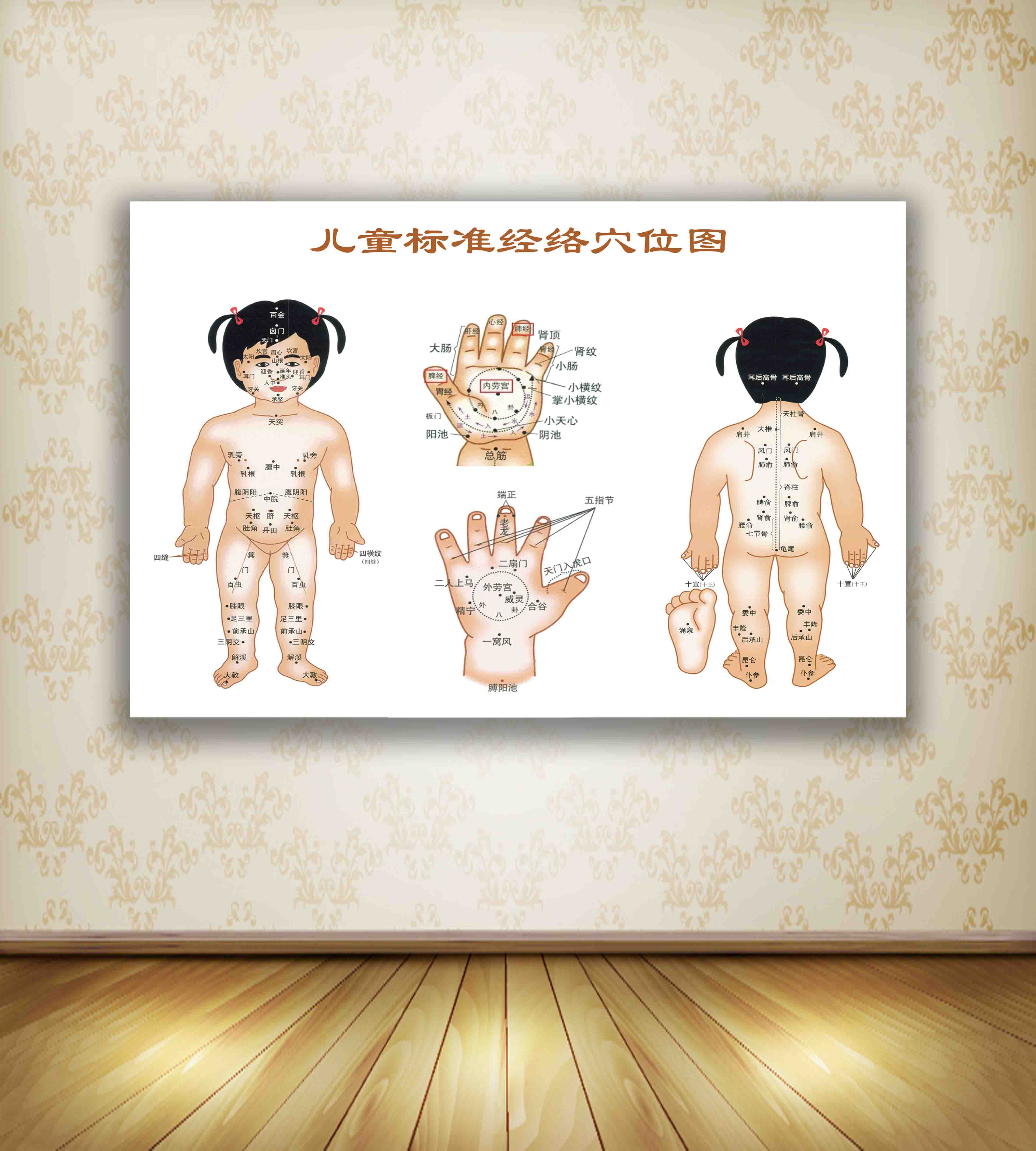 中医面部美容养生脸部脊椎保健挂图宣传画海报写真