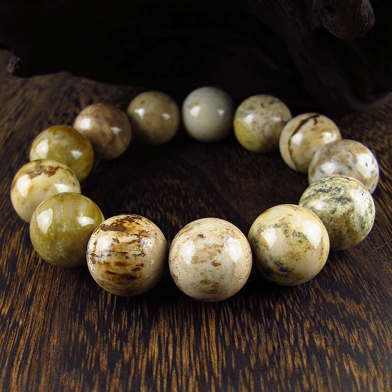 相石缘18mm白色系色系天然树化玉木化石手链男手串手链