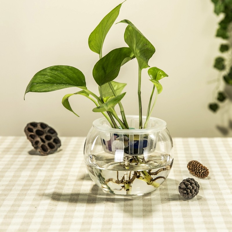 鱼缸时尚客厅摆件花器水培装饰插花透明金鱼缸花瓶