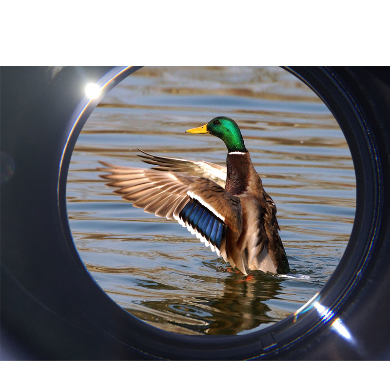 celestron星特朗c20-60x80a 观鸟镜 单筒望远镜 可接相机