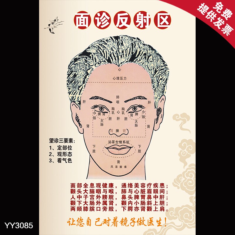 面诊反射区示意图面部望诊要素文化挂图中医养生理疗写真