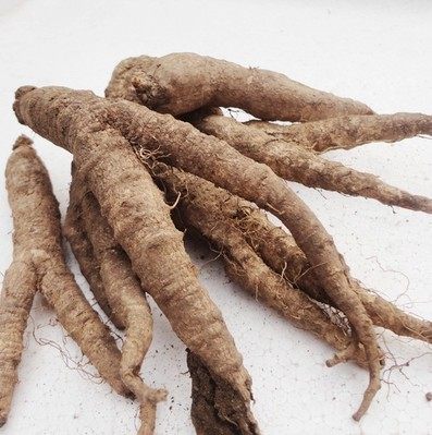 新鲜北沙东北特产轮叶党参山胡萝卜山地瓜韩国泡菜其它