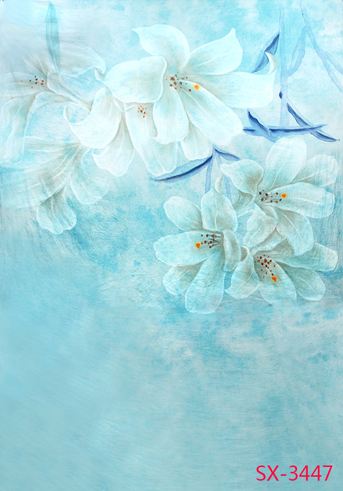 背景新款影楼婚纱摄影写真主题画意虚化朦胧布影棚背景布类