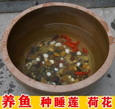 下载app                          泥缸养鱼水泥鱼缸造景水草缸瓦缸