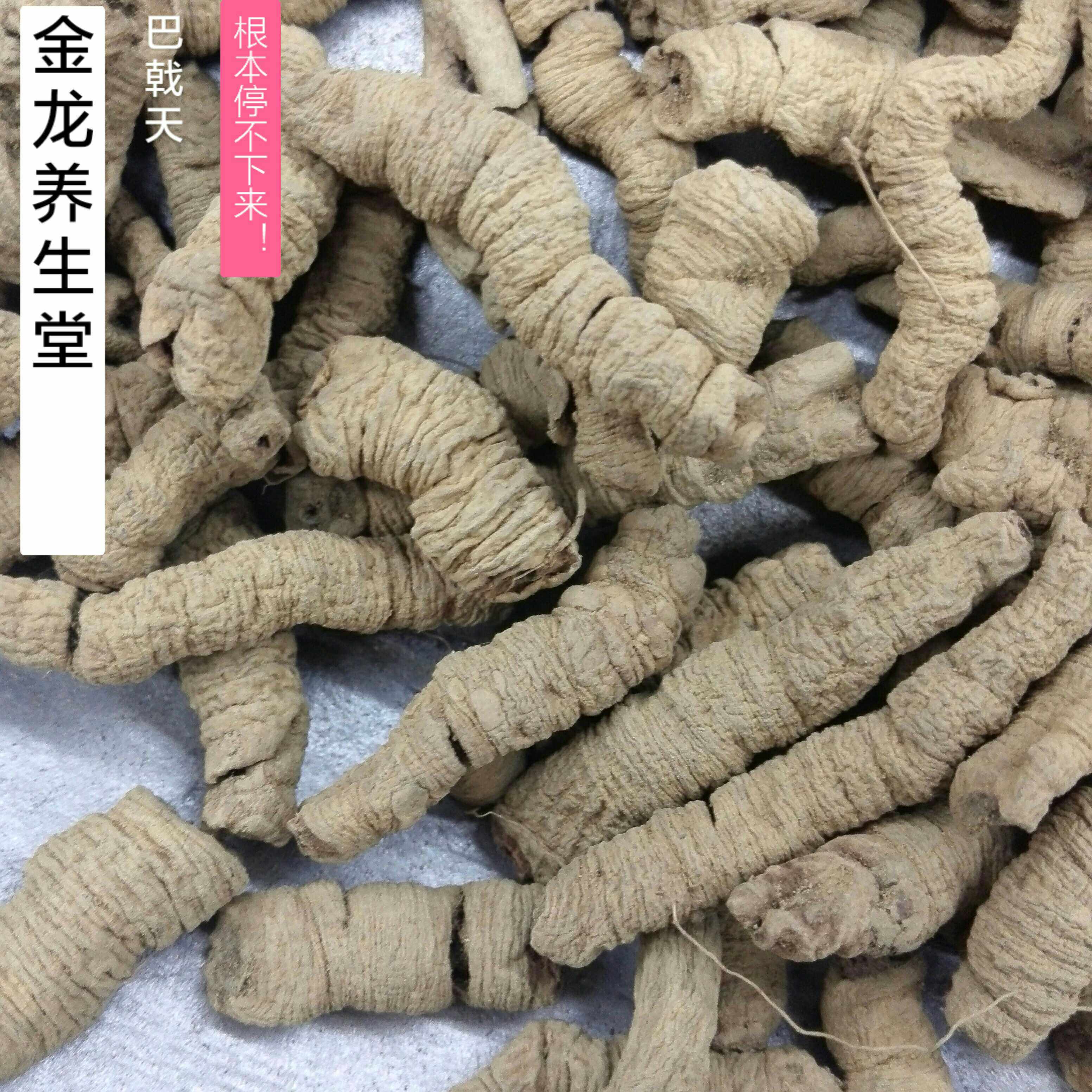 巴戟天巴戟中药材正品品生大条巴吉精选野生500g其他药食同源食品