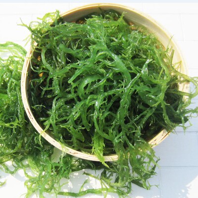 2019火锅拌菜龙须菜5斤装福建特产天然海发菜绿藻海草海藻其它功效与