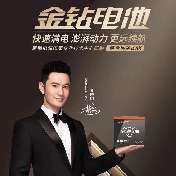 南都金钻电池48v133ah雅迪石墨新日爱玛车银银钻电动车电池