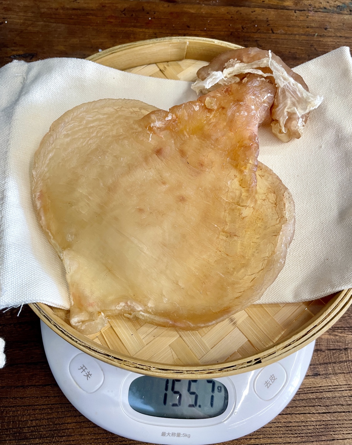 私货本港野生石肚赤嘴鳘鱼胶母肚花胶干货正品鱼干