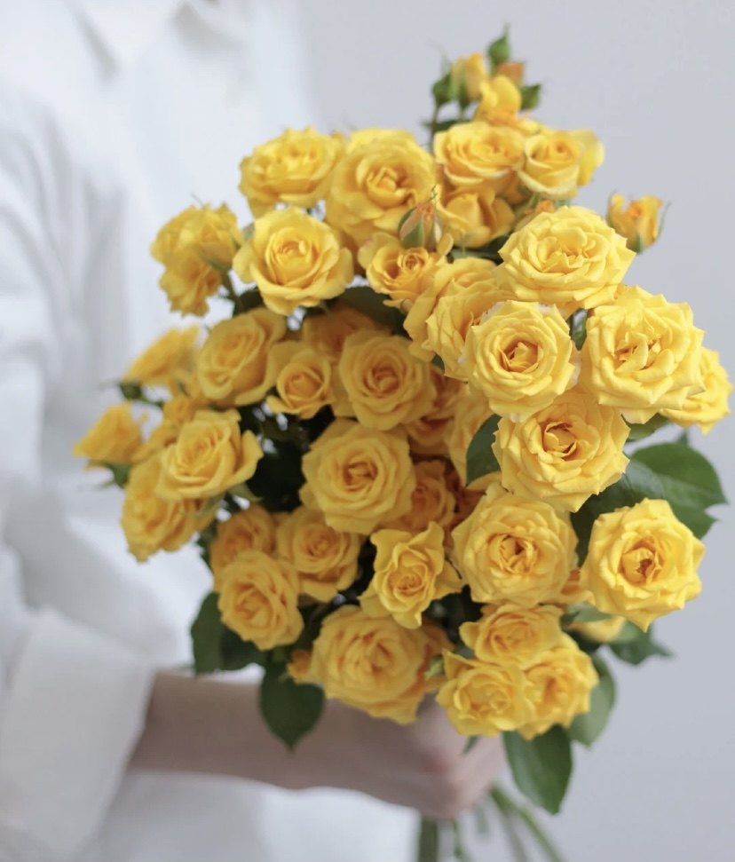 情人节生日精品多头黄色玫瑰梦幻芭比花瓶水养昆明鲜花速递同城