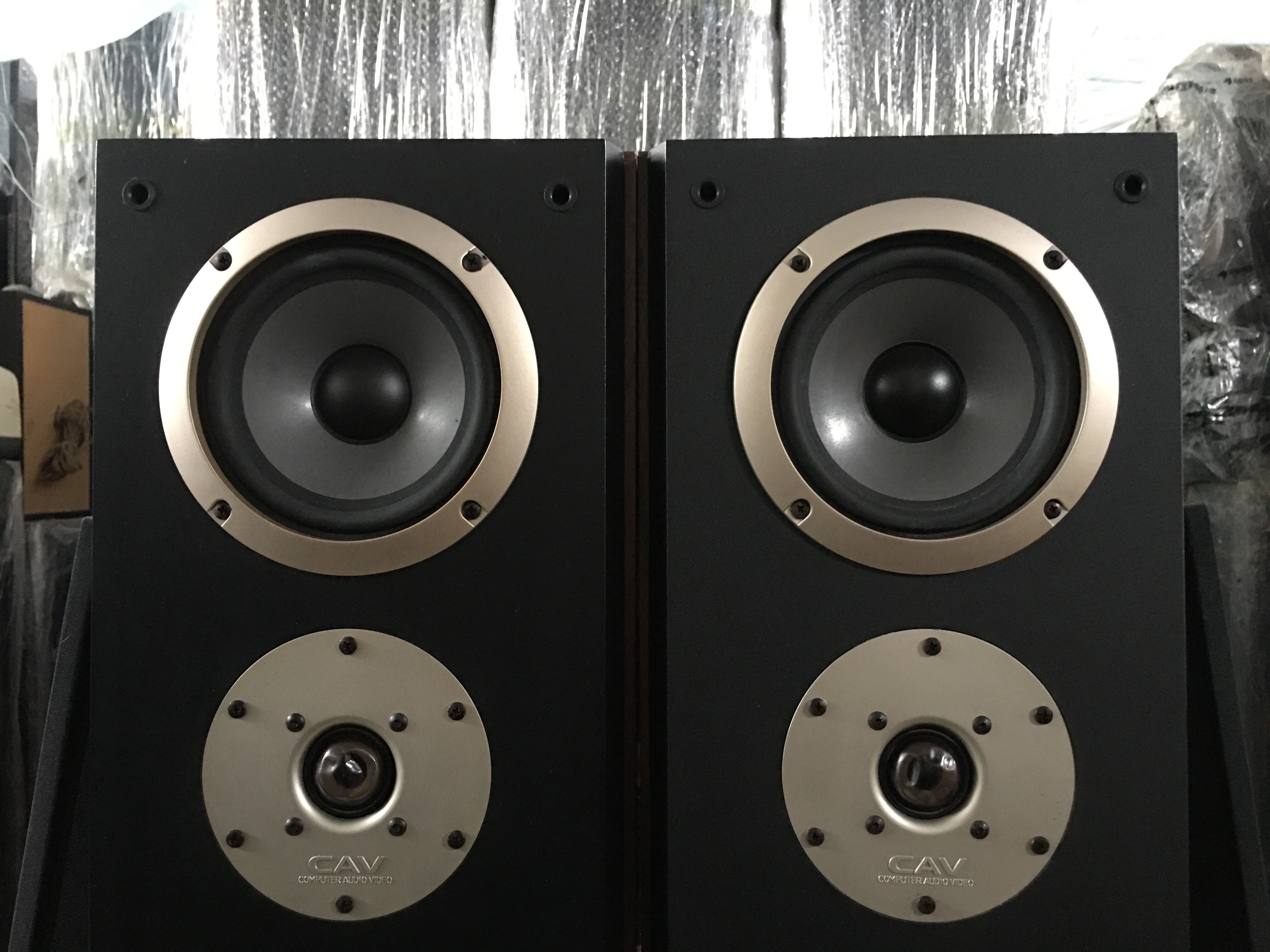 二手原装cav丽声sp70065寸低音落地音箱发烧hifi音箱