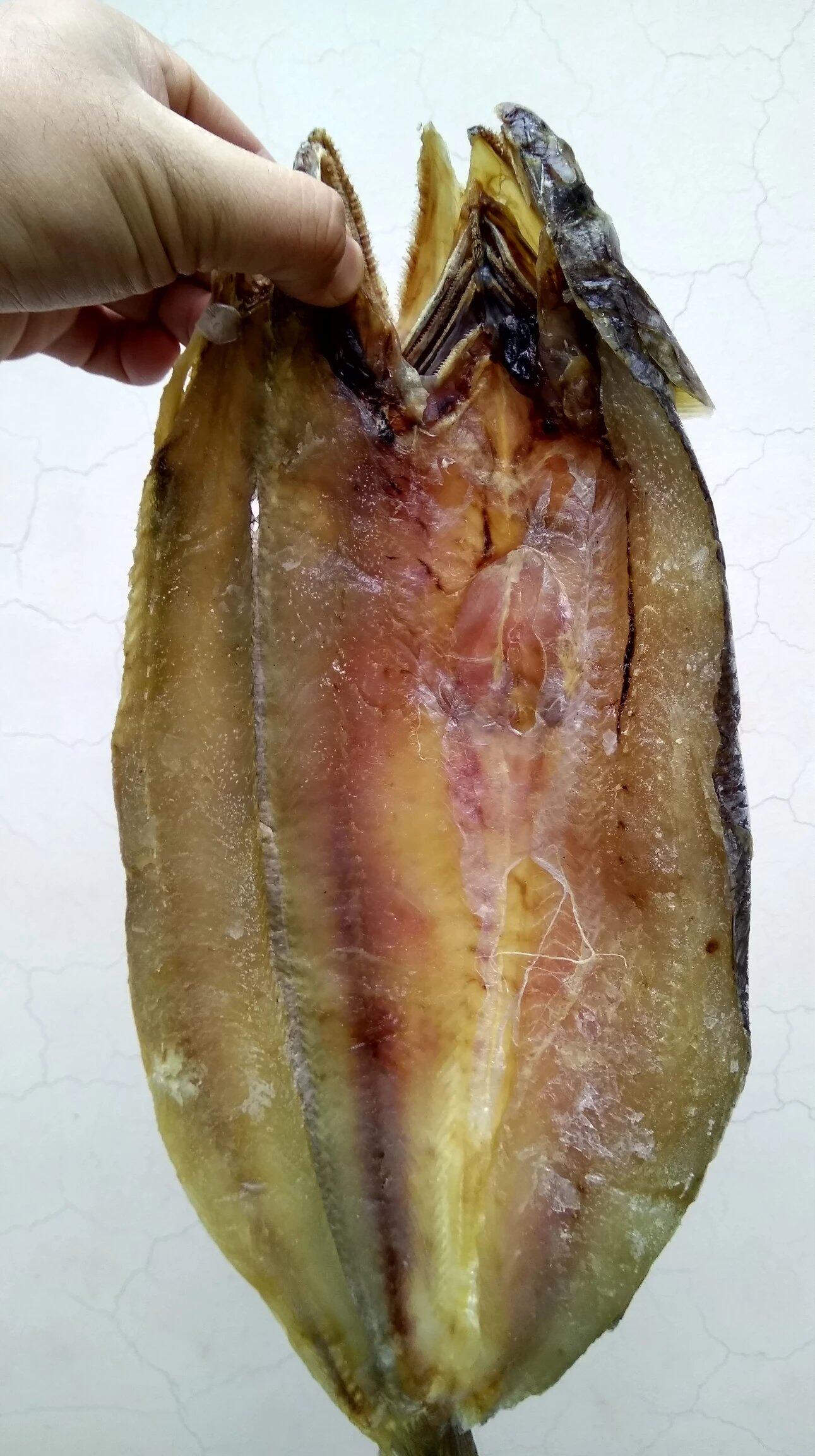 黄金香白眼鲻鱼支鱼腌制海盐野生海鲜鱼特产海渤海鱼干