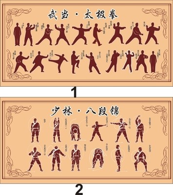 武当太极拳少林八段招式图解示意图传统强身健体海报写真