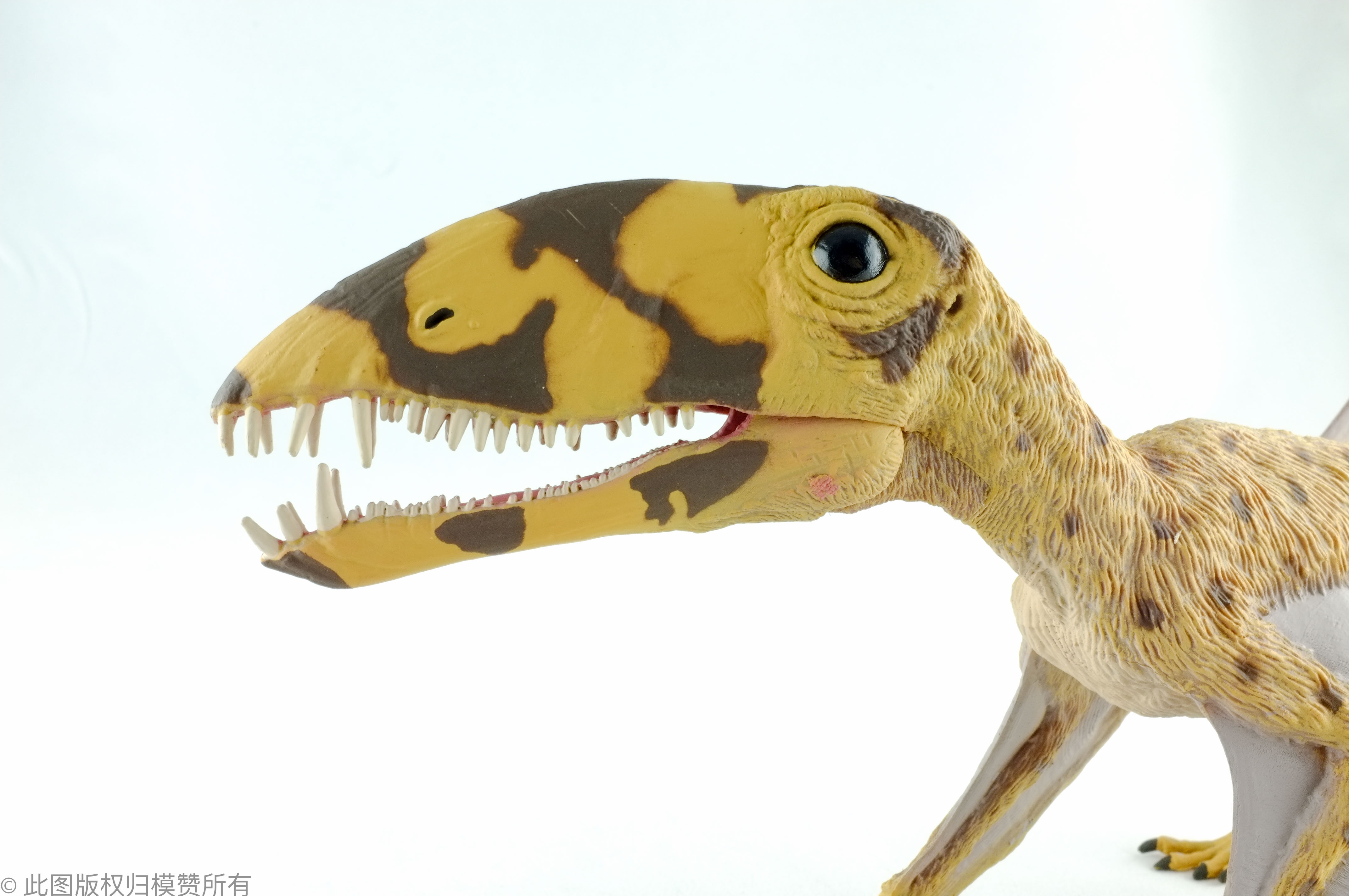 collecta仿真恐龙动物模型玩具双型翼龙男孩送礼仿真