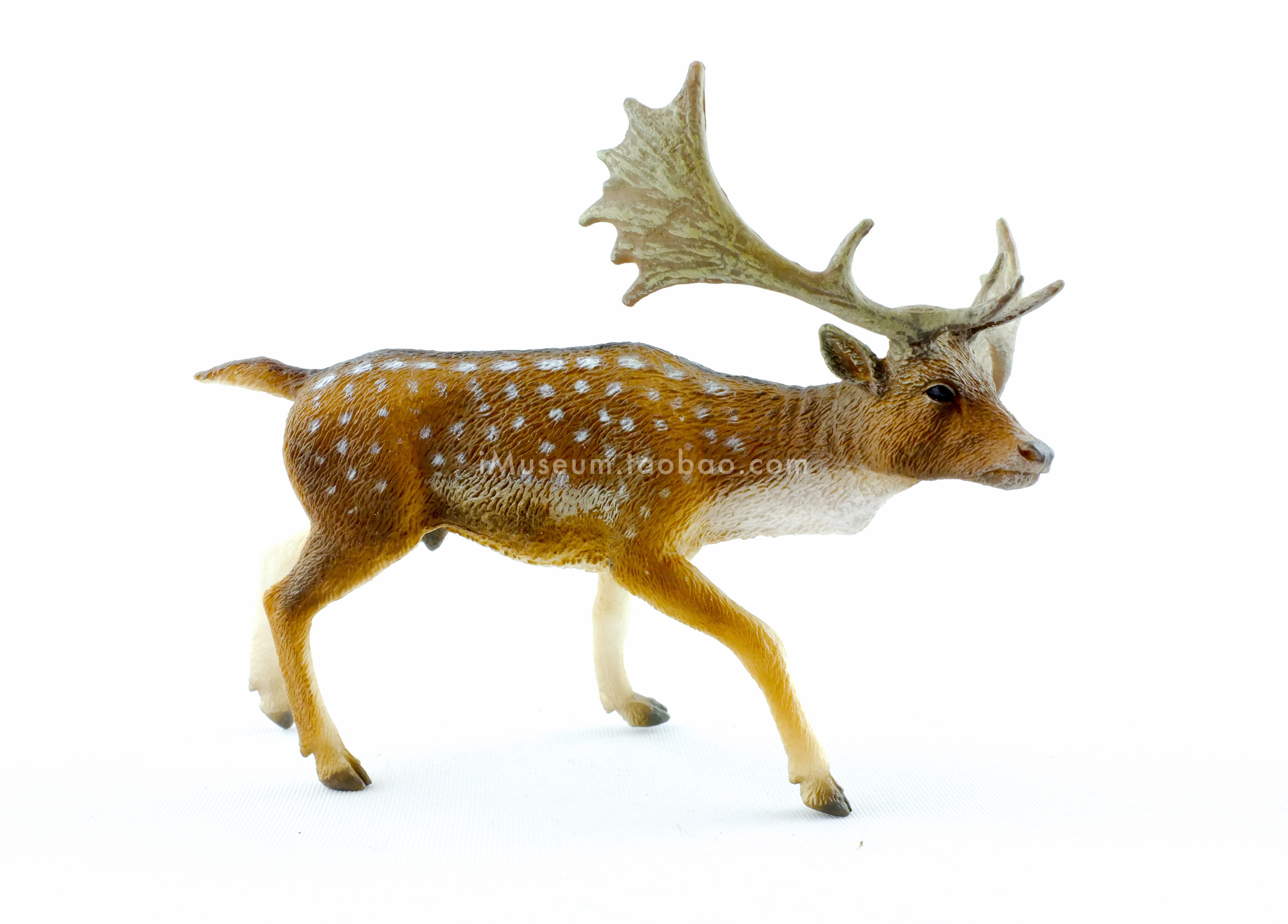 collecta你他野生动物仿真模型动物儿童玩具公黇88685仿真