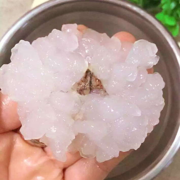 正宗雪蛤林蛙干联体血哈干货东北长白山油膏泡发雪蛤油