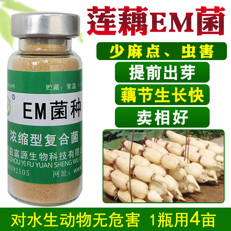 莲藕em菌种专用肥料膨大素叶面肥麻点药铁锈藕带莲子田黄叶益富源-mc