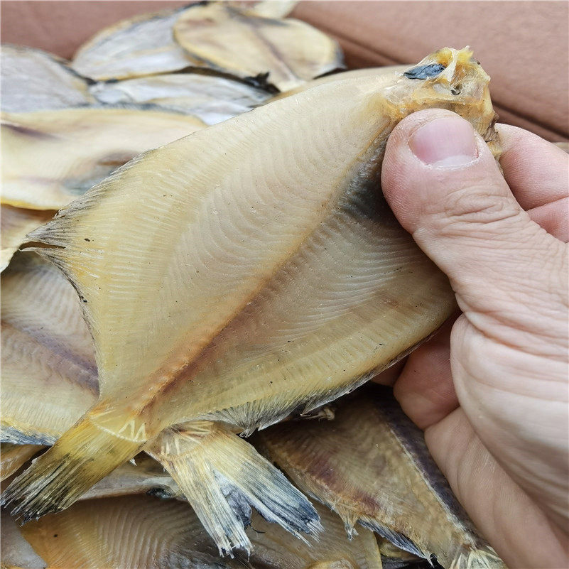日照渔民淡晒高眼鱼干自鼓眼比目鱼烧烤半成品500g鱼干