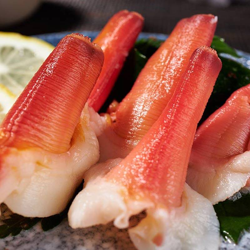 北极兰花2斤新鲜冷冻加拿大冰山蚌日寿司刺身北极贝