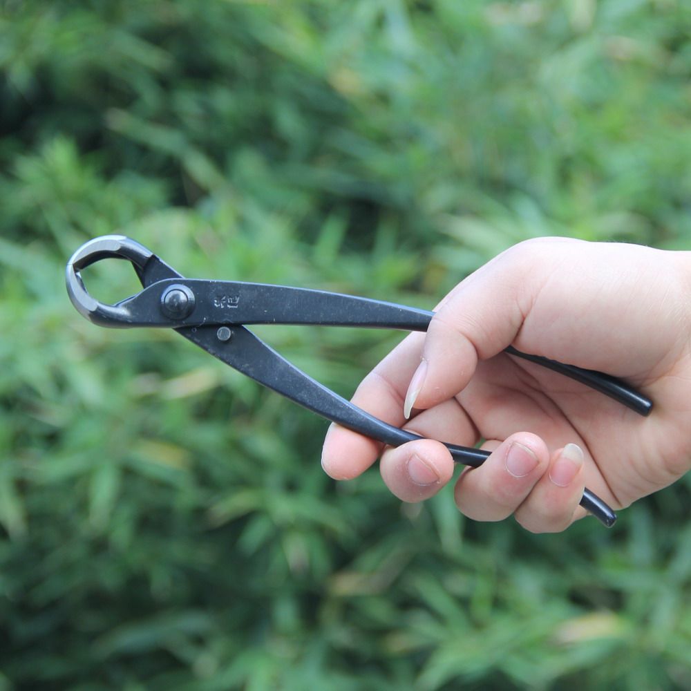 球钳球节剪钳朱记品牌盆景专用制作制作工工具剪刀