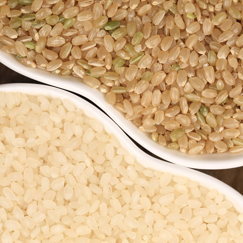 慢米糙米生态自然农法大米粳米5斤2021新米糙米