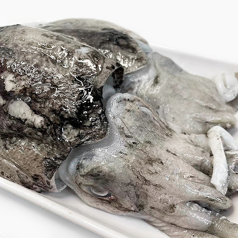 舟山原汁墨鱼新鲜冷冻鲜活乌贼特大目鱼花枝冷冻墨鱼