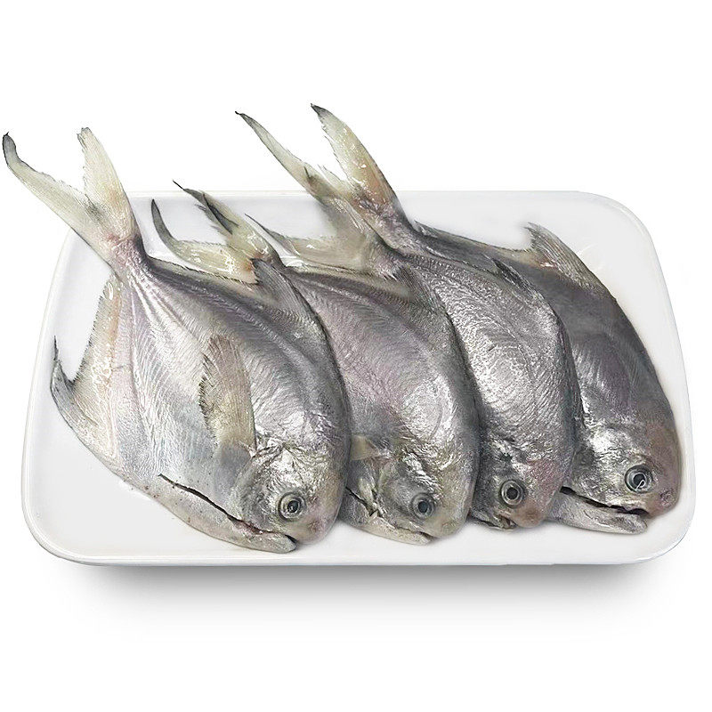 舟山平鱼280g免杀昌鱼东海鲳鱼鲳片鳊鱼冷冻鲳鱼