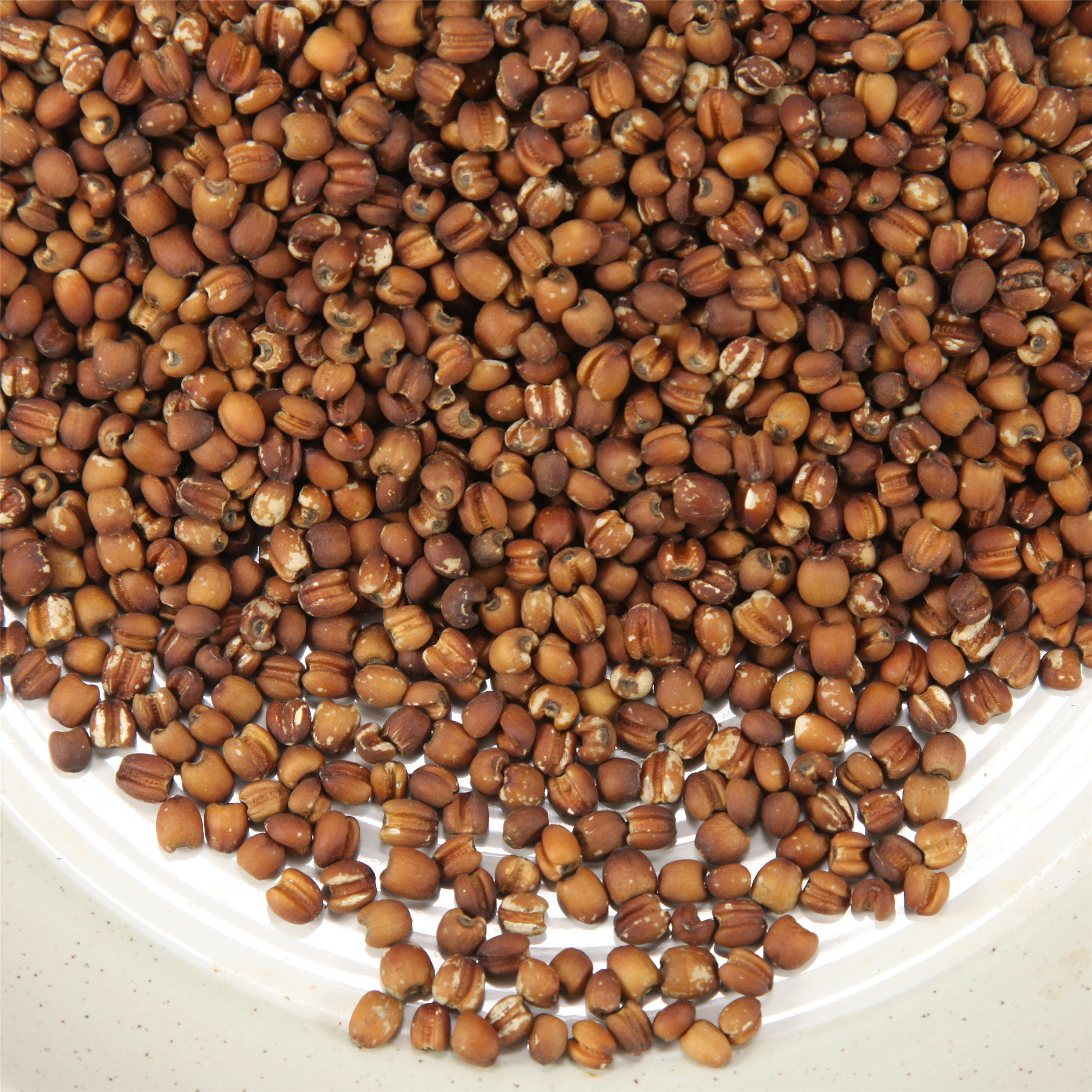 新货红薏仁500g散装特级农家自产贵州薏米仁薏仁米祛湿小苡仁批发