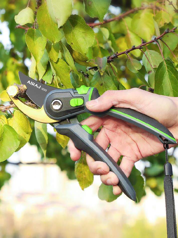 剪刀果树专用省力盆景橙子果枝花园剪枝整枝园艺剪