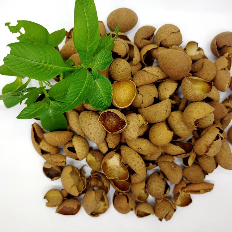 高州桂圆龙眼壳纯外皮自家干晒无硫1斤其他药食同源食品