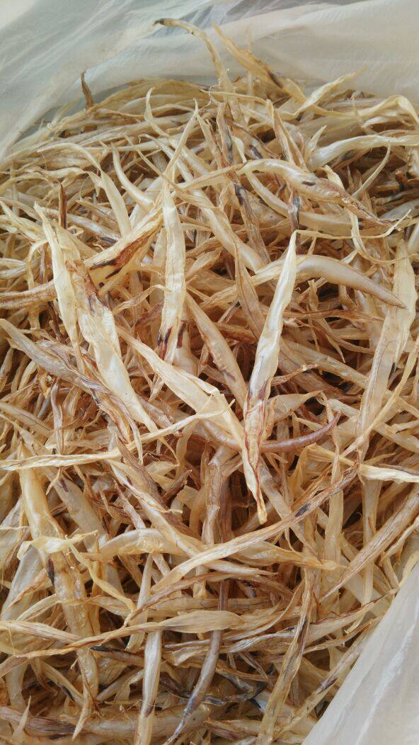 海南鳗鱼泡麻鱼肚鱼胶50g野生添加天然促销花胶